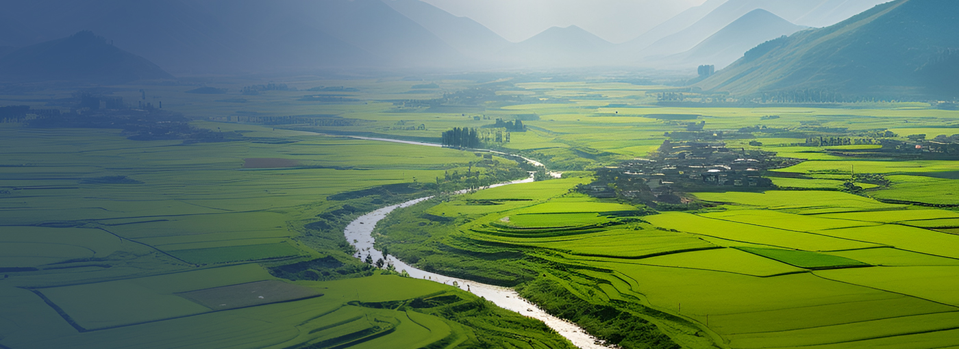先導科技集團官網